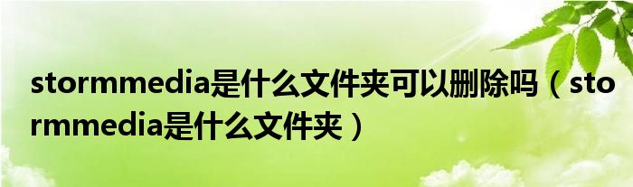 stormmedia是什么文件夾可以刪除嗎（stormmedia是什么文件夾）