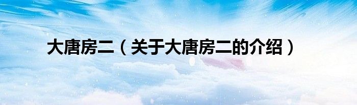 大唐房二（關(guān)于大唐房二的介紹）