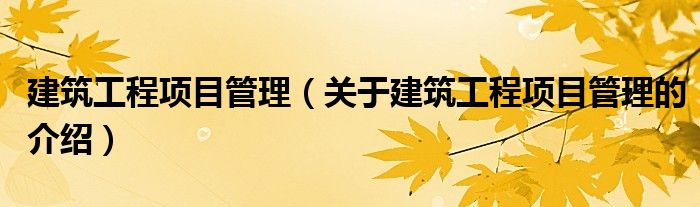 建筑工程項(xiàng)目管理（關(guān)于建筑工程項(xiàng)目管理的介紹）