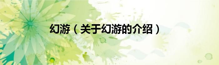 幻游（關(guān)于幻游的介紹）