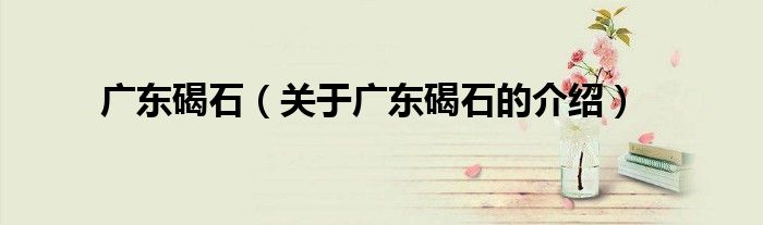 廣東碣石（關于廣東碣石的介紹）