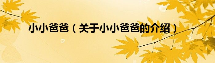 小小爸爸（關(guān)于小小爸爸的介紹）