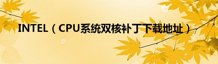 INTEL（CPU系統(tǒng)雙核補丁下載地址）
