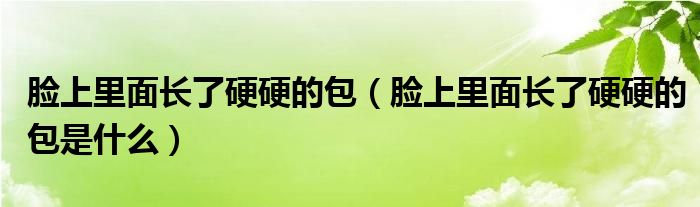 臉上里面長(zhǎng)了硬硬的包（臉上里面長(zhǎng)了硬硬的包是什么）