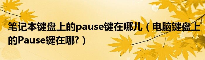 筆記本鍵盤上的pause鍵在哪兒（電腦鍵盤上的Pause鍵在哪?）