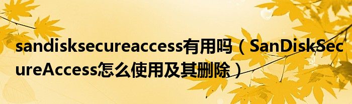 sandisksecureaccess有用嗎（SanDiskSecureAccess怎么使用及其刪除）