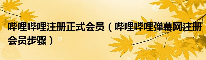 嗶哩嗶哩注冊正式會員（嗶哩嗶哩彈幕網(wǎng)注冊會員步驟）