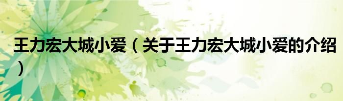 王力宏大城小愛（關(guān)于王力宏大城小愛的介紹）