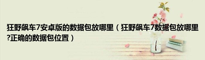 狂野飆車7安卓版的數(shù)據(jù)包放哪里（狂野飆車7數(shù)據(jù)包放哪里?正確的數(shù)據(jù)包位置）