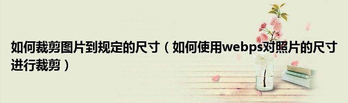如何裁剪圖片到規(guī)定的尺寸（如何使用webps對(duì)照片的尺寸進(jìn)行裁剪）