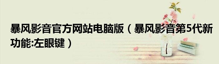 暴風(fēng)影音官方網(wǎng)站電腦版（暴風(fēng)影音第5代新功能:左眼鍵）