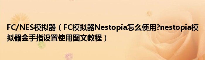 FC/NES模擬器（FC模擬器Nestopia怎么使用?nestopia模擬器金手指設(shè)置使用圖文教程）