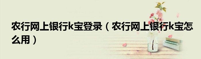 農(nóng)行網(wǎng)上銀行k寶登錄（農(nóng)行網(wǎng)上銀行k寶怎么用）