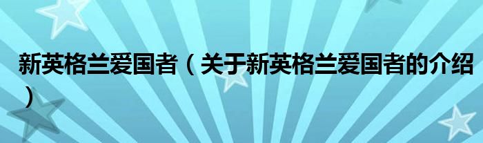 新英格蘭愛國者（關(guān)于新英格蘭愛國者的介紹）