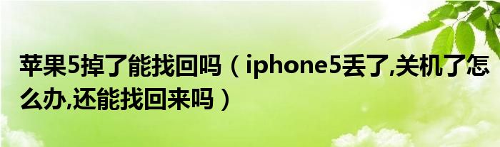 蘋果5掉了能找回嗎（iphone5丟了,關(guān)機(jī)了怎么辦,還能找回來嗎）