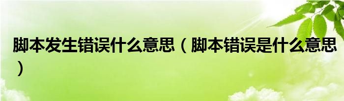 腳本發(fā)生錯誤什么意思（腳本錯誤是什么意思）