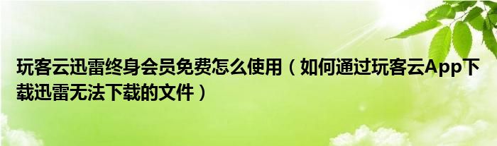 玩客云迅雷終身會(huì)員免費(fèi)怎么使用（如何通過(guò)玩客云App下載迅雷無(wú)法下載的文件）