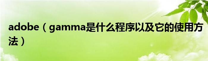adobe（gamma是什么程序以及它的使用方法）