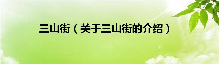 三山街（關(guān)于三山街的介紹）