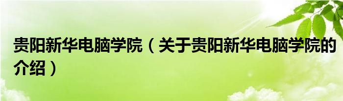 貴陽新華電腦學(xué)院（關(guān)于貴陽新華電腦學(xué)院的介紹）