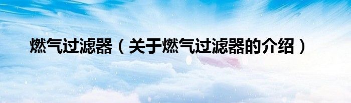燃氣過濾器（關于燃氣過濾器的介紹）