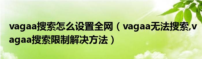 vagaa搜索怎么設(shè)置全網(wǎng)（vagaa無法搜索,vagaa搜索限制解決方法）