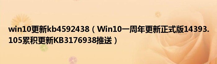 win10更新kb4592438（Win10一周年更新正式版14393.105累積更新KB3176938推送）