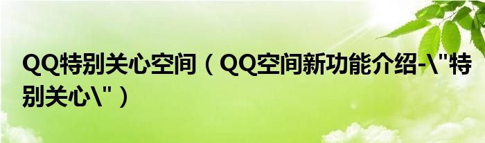 QQ特別關(guān)心空間（QQ空間新功能介紹-