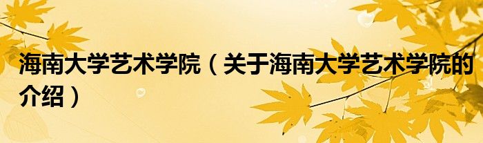 海南大學藝術學院（關于海南大學藝術學院的介紹）