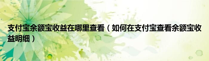 支付寶余額寶收益在哪里查看（如何在支付寶查看余額寶收益明細(xì)）