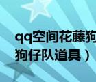 qq空間花藤狗仔隊(duì)在哪（空間花藤怎么兌換狗仔隊(duì)道具）