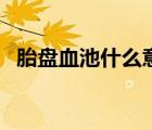 胎盤(pán)血池什么意思啊（胎盤(pán)血池什么意思）