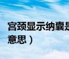 宮頸顯示納囊是什么意思（宮頸有納囊是什么意思）