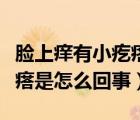 臉上癢有小疙瘩是怎么回事（臉上發(fā)癢起小疙瘩是怎么回事）