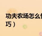 功夫農(nóng)場(chǎng)怎么快速偷菜（講解QQ農(nóng)場(chǎng)偷菜技巧）