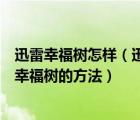 迅雷幸福樹怎樣（迅雷幸福樹消失不見了怎么辦？找回迅雷幸福樹的方法）