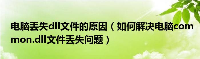 電腦丟失dll文件的原因（如何解決電腦common.dll文件丟失問題）
