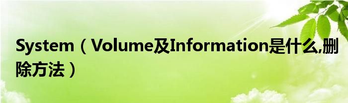 System（Volume及Information是什么,刪除方法）