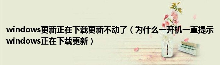 windows更新正在下載更新不動(dòng)了（為什么一開(kāi)機(jī)一直提示windows正在下載更新）