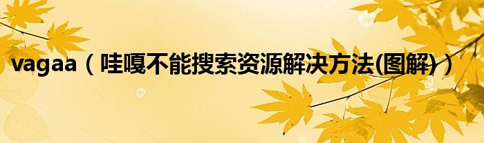 vagaa（哇嘎不能搜索資源解決方法(圖解)）