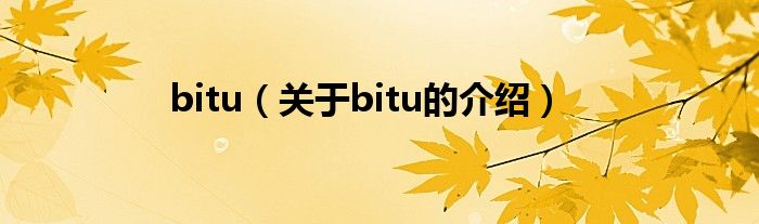 bitu（關(guān)于bitu的介紹）