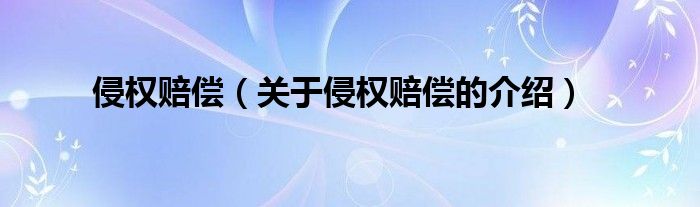 侵權(quán)賠償（關(guān)于侵權(quán)賠償?shù)慕榻B）