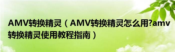 AMV轉(zhuǎn)換精靈（AMV轉(zhuǎn)換精靈怎么用?amv轉(zhuǎn)換精靈使用教程指南）