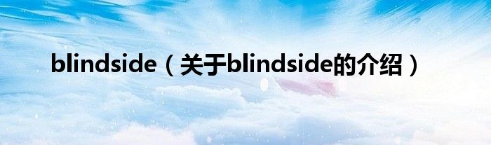 blindside（關(guān)于blindside的介紹）