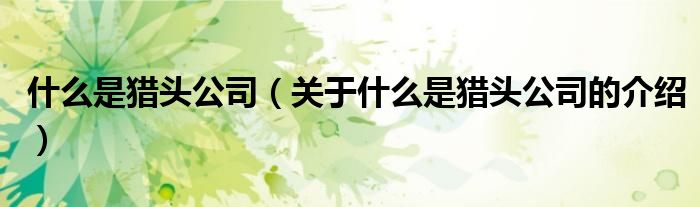 什么是獵頭公司（關(guān)于什么是獵頭公司的介紹）