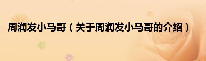 周潤發(fā)小馬哥（關(guān)于周潤發(fā)小馬哥的介紹）