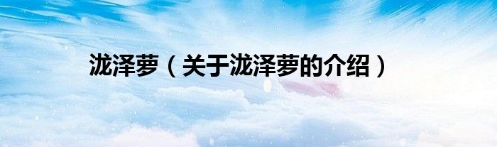 瀧澤蘿（關(guān)于瀧澤蘿的介紹）