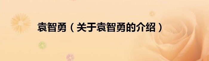 袁智勇（關(guān)于袁智勇的介紹）