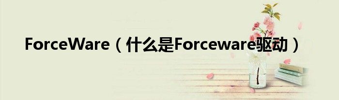 ForceWare（什么是Forceware驅(qū)動）