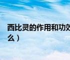 西比靈的作用和功效成人吃幾粒（西比靈的作用和功效是什么）